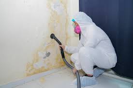 Mold Remediation for Vacation Homes in Hallsville, MO